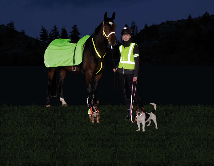 KANTRIE Kopf- und Helmlampe